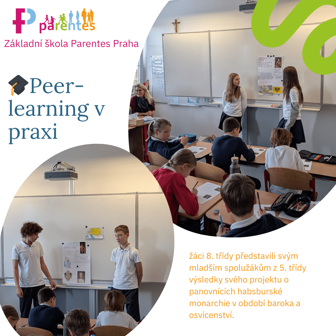 peer-learning
