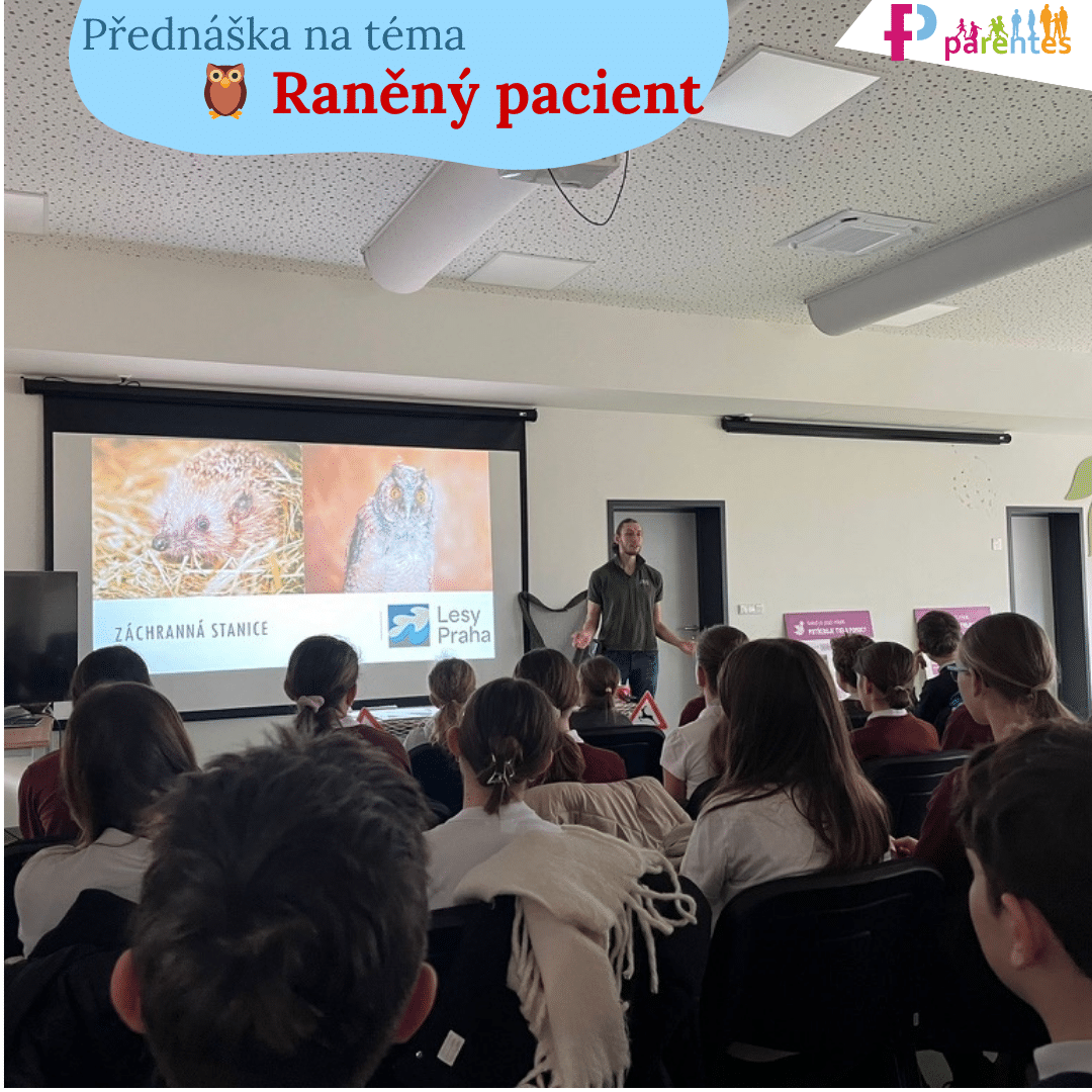 Raněny.pacient4