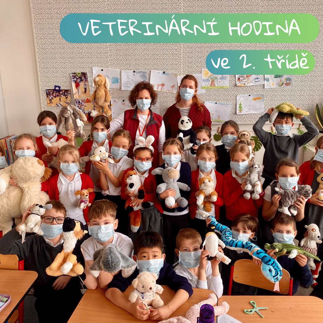 Veterinarni hodina 2třída