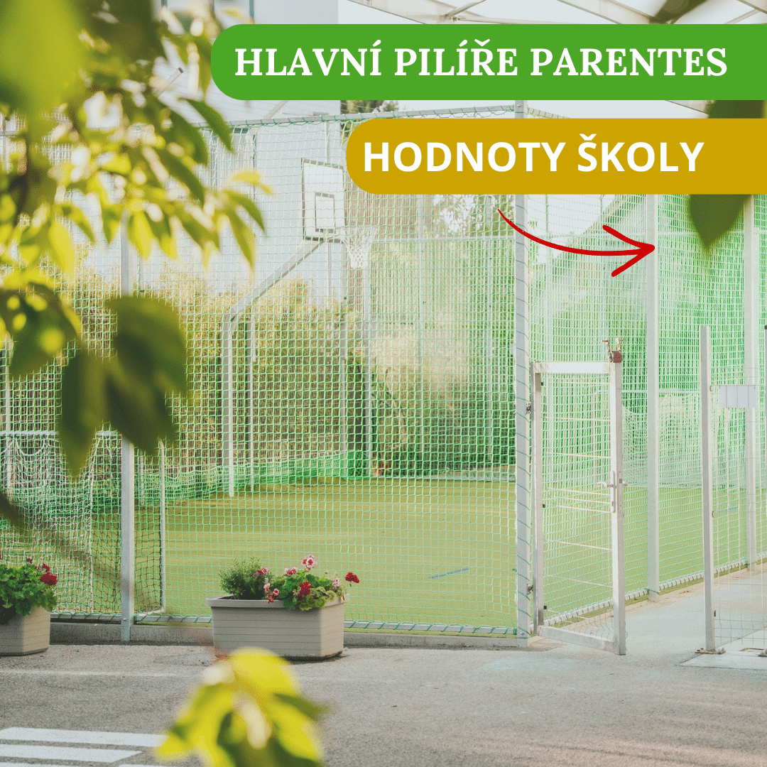 Hodnoty skoly